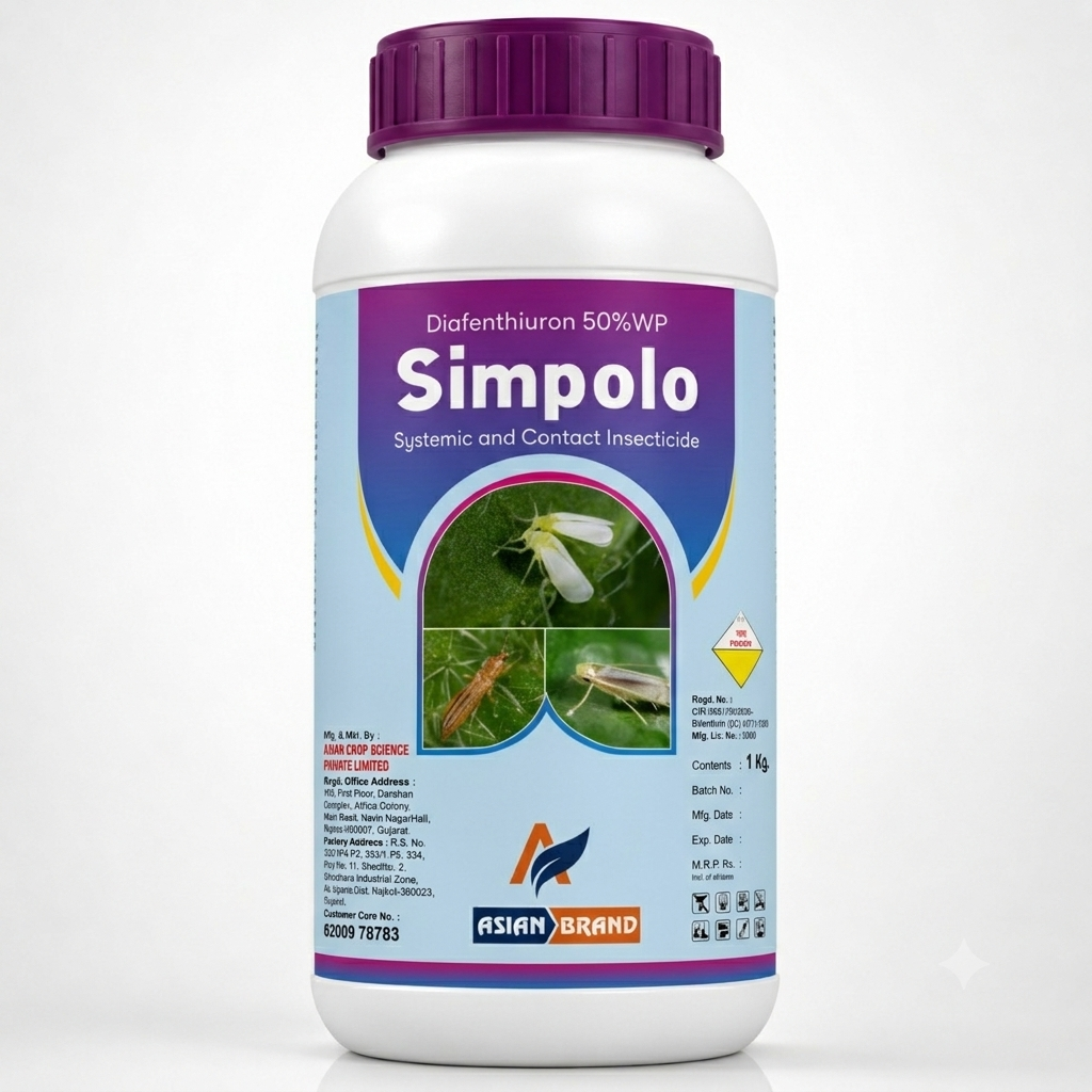 SIMPOLO
